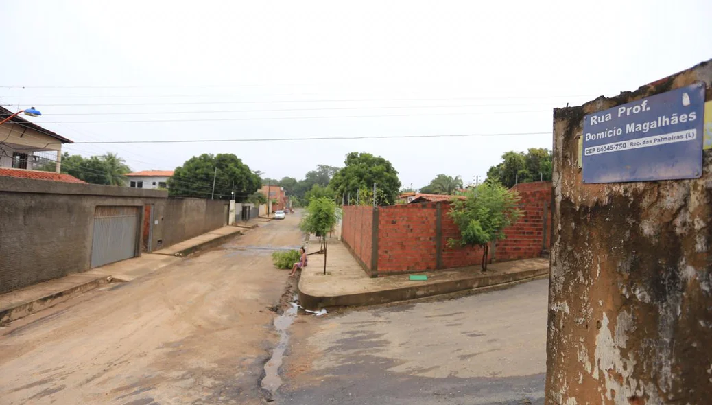 Rua Prof. Domício Magalhães, bairro Recanto dos Palmares 