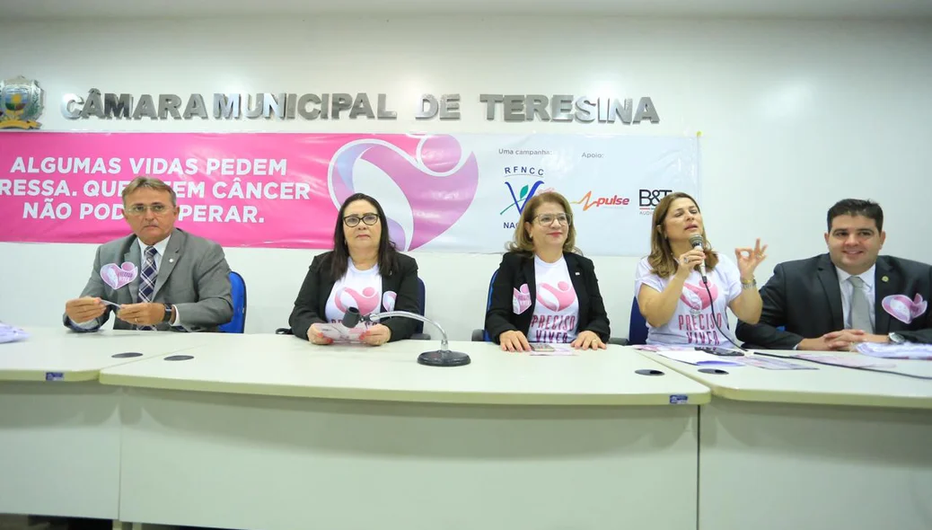 Autoridades na reunião da Rede Feminina de Combate ao Câncer 