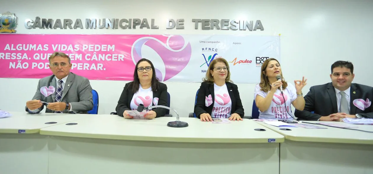 Autoridades na reunião da Rede Feminina de Combate ao Câncer 