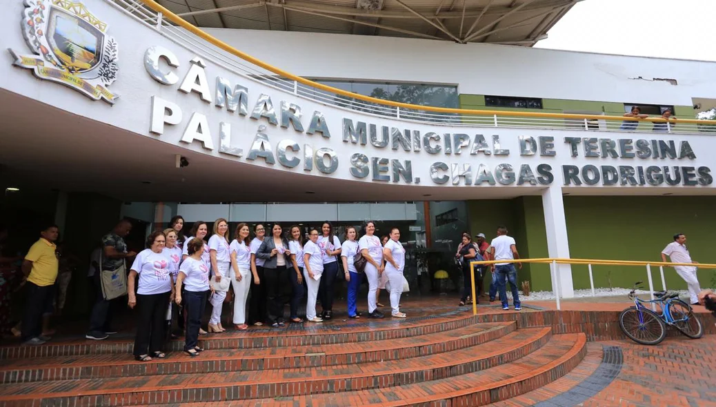 Campanha Rede Feminina de Combate ao Câncer na Câmara Municipal de Teresina