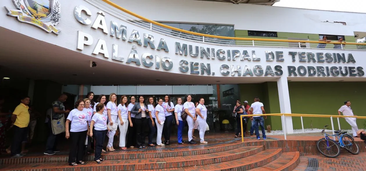 Campanha Rede Feminina de Combate ao Câncer na Câmara Municipal de Teresina