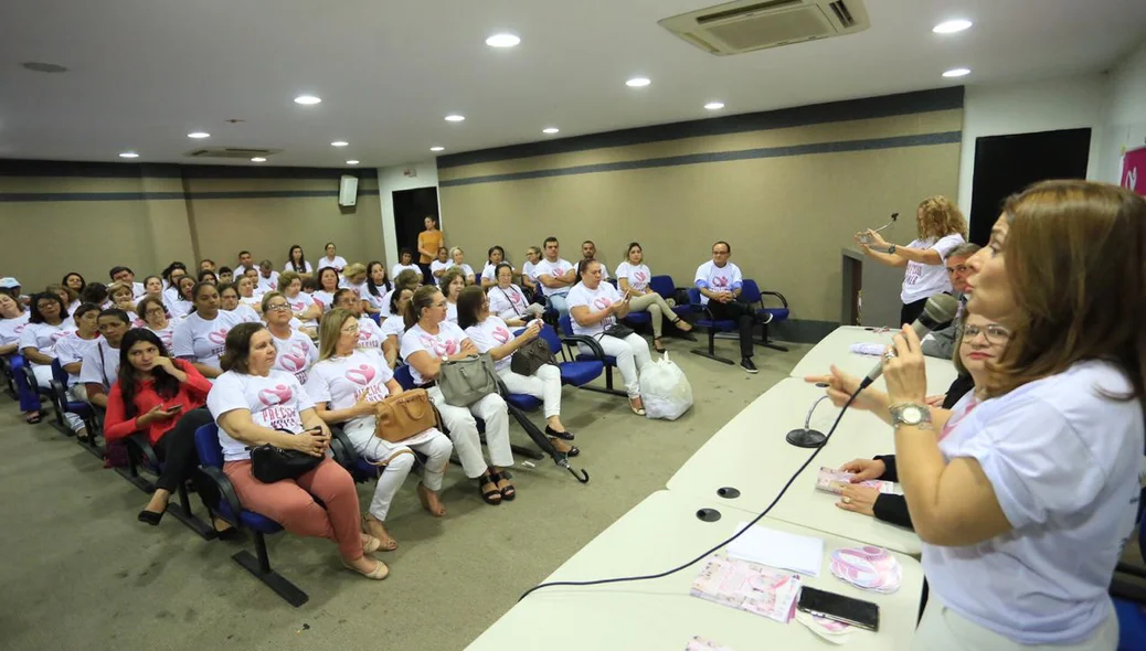 Reunião da Rede Feminina de Combate ao Câncer na Câmara Municipal de Teresina