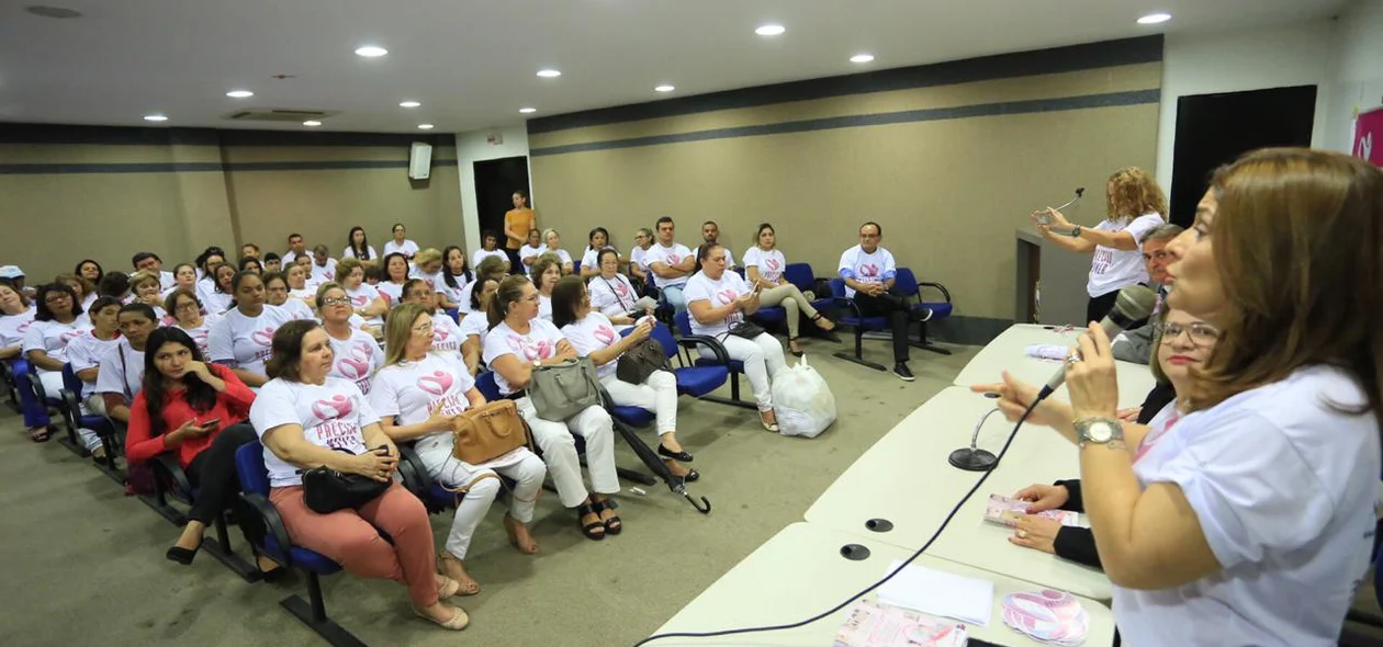Reunião da Rede Feminina de Combate ao Câncer na Câmara Municipal de Teresina