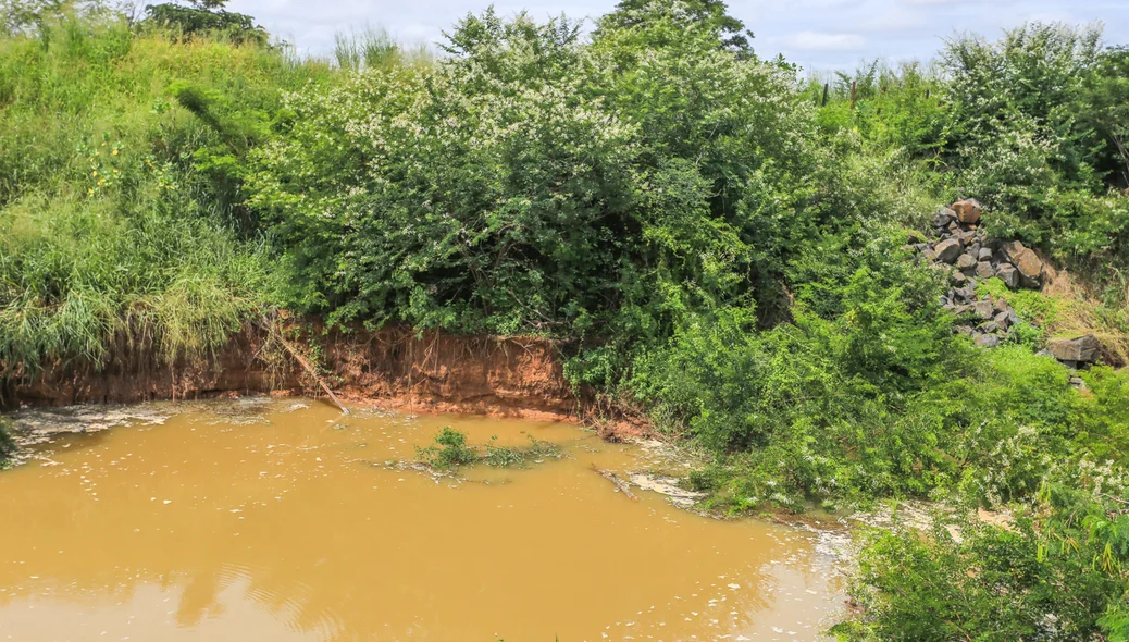 Água das chuvas acumulada ao lado da ponte Wall Ferraz