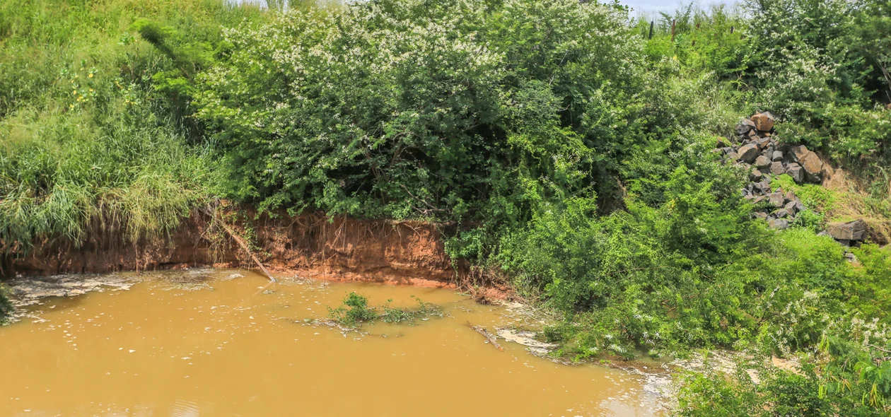 Água das chuvas acumulada ao lado da ponte Wall Ferraz