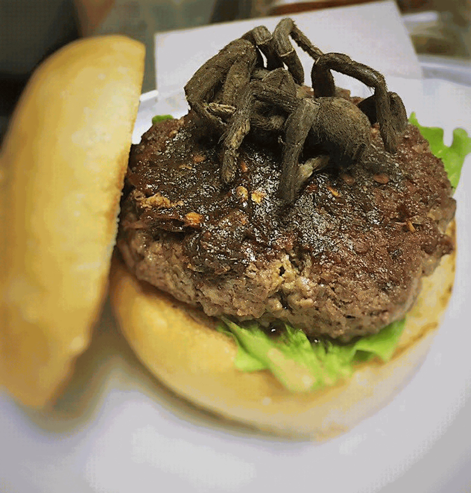 Hambúrguer de aranha é servido em restaurante dos EUA