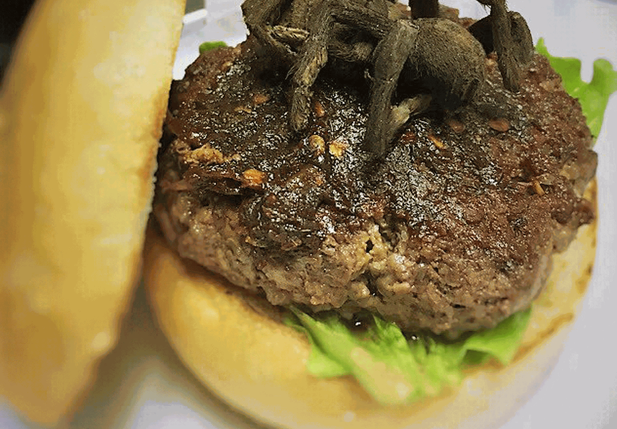 Hambúrguer de aranha é servido em restaurante dos EUA