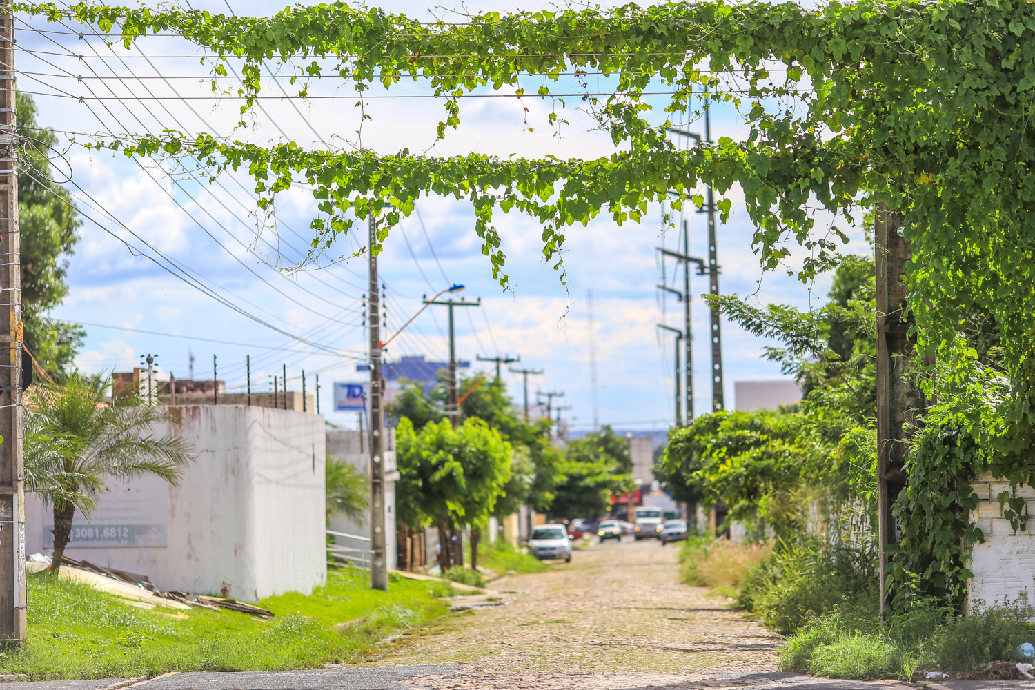 Plantas na rede elétrica