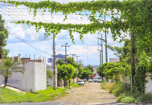 Plantas na rede elétrica