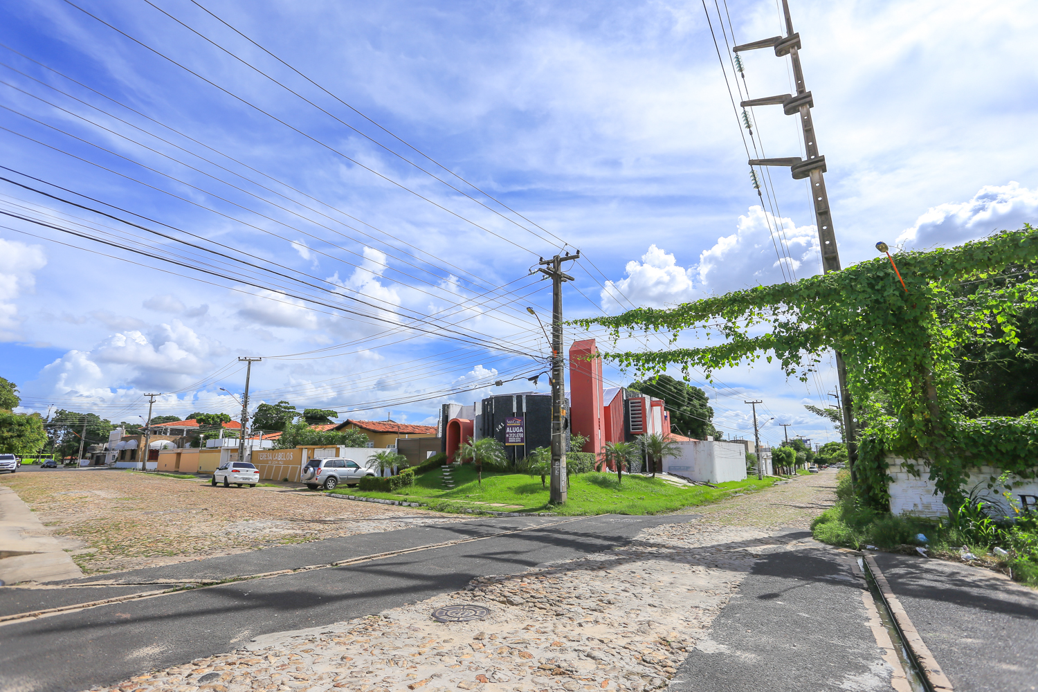 Plantas nos fios da rede elétrica