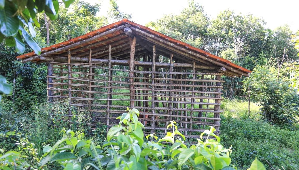 Casas estão sendo construídas 