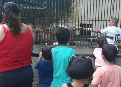 Homem invade área de segurança e toca em onça no Parque Zoobotânico de Teresina