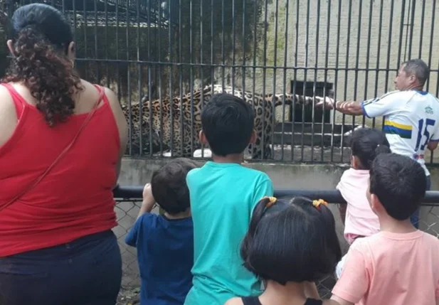Homem invade área de segurança e toca em onça no Parque Zoobotânico de Teresina