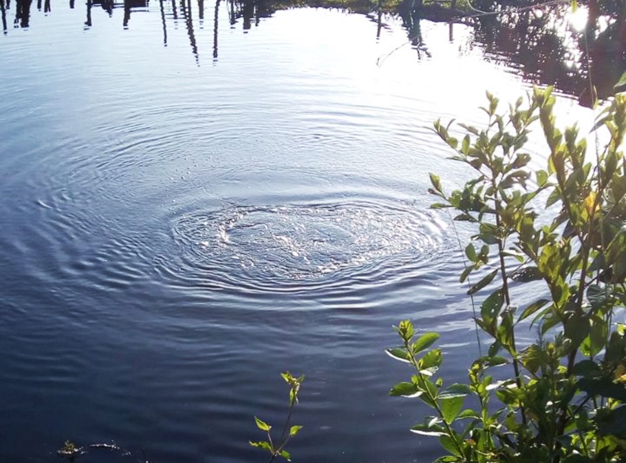 Lagoa onde o corpo do adolescente foi encontrado