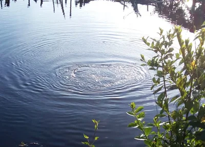 Lagoa onde o corpo do adolescente foi encontrado