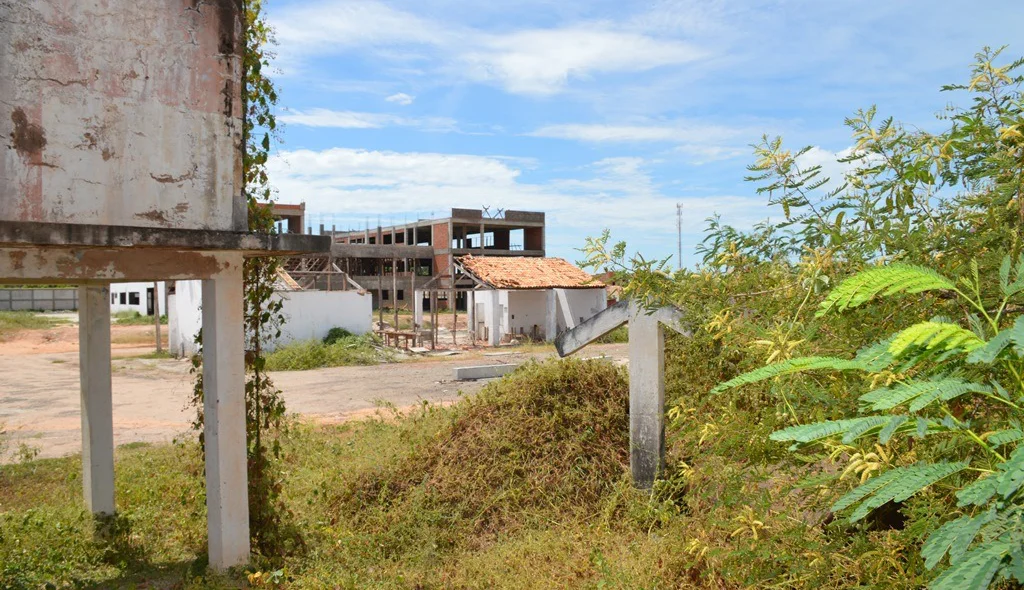 Mato toma conta da obra