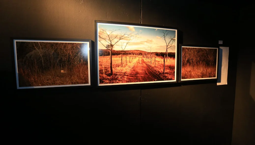 Quadros em exposição no Clube dos Diários