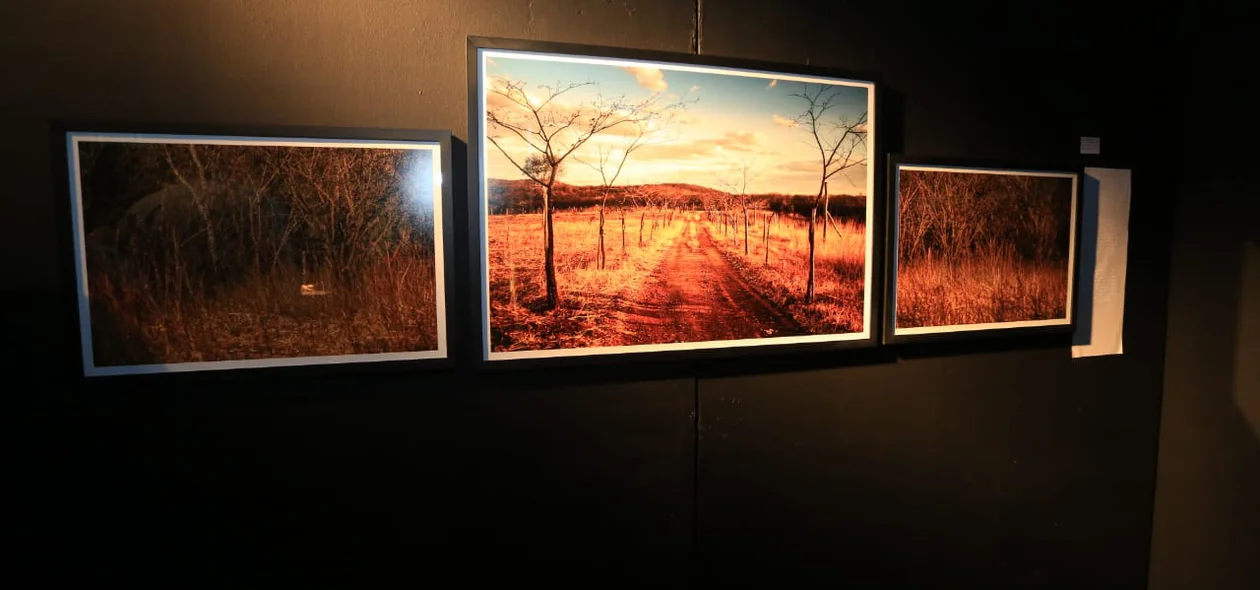 Quadros em exposição no Clube dos Diários