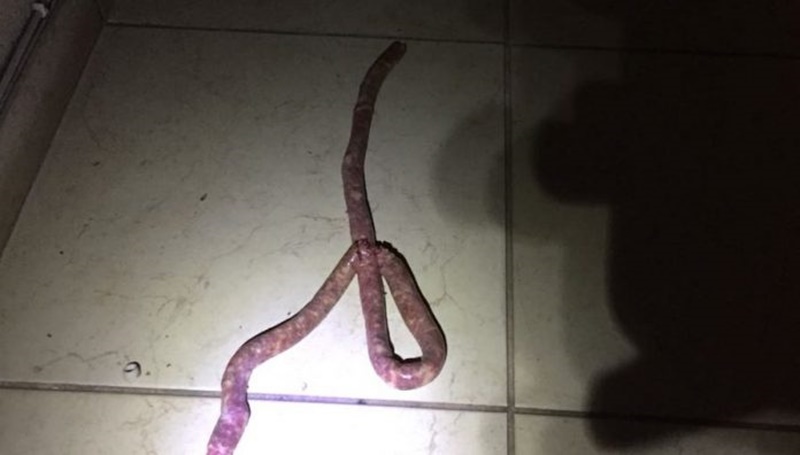 Linguiça encontrada em residência de Minas Gerais