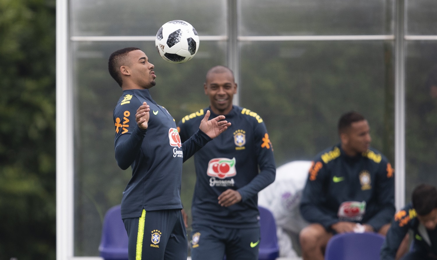 Seleção brasileira 