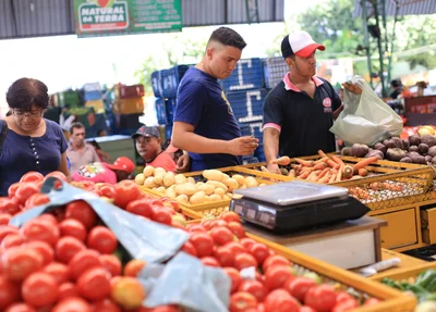 Procura por alimentos na Nova Ceasa em Teresina