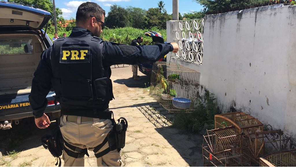 PRF em operação na cidade de Buriti dos Lopes 