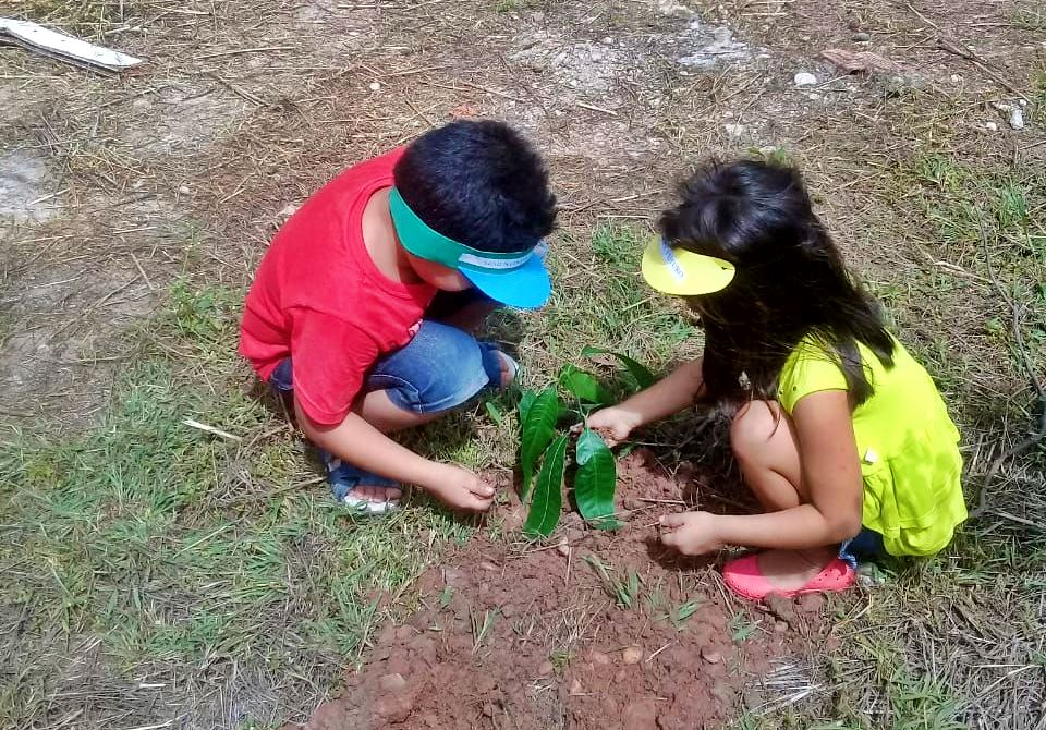 Semana Mundial do Meio Ambiente em Altos