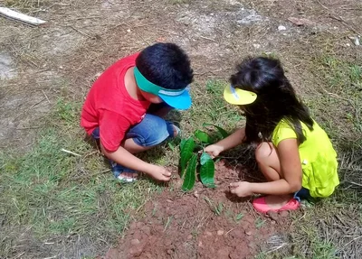 Semana Mundial do Meio Ambiente em Altos