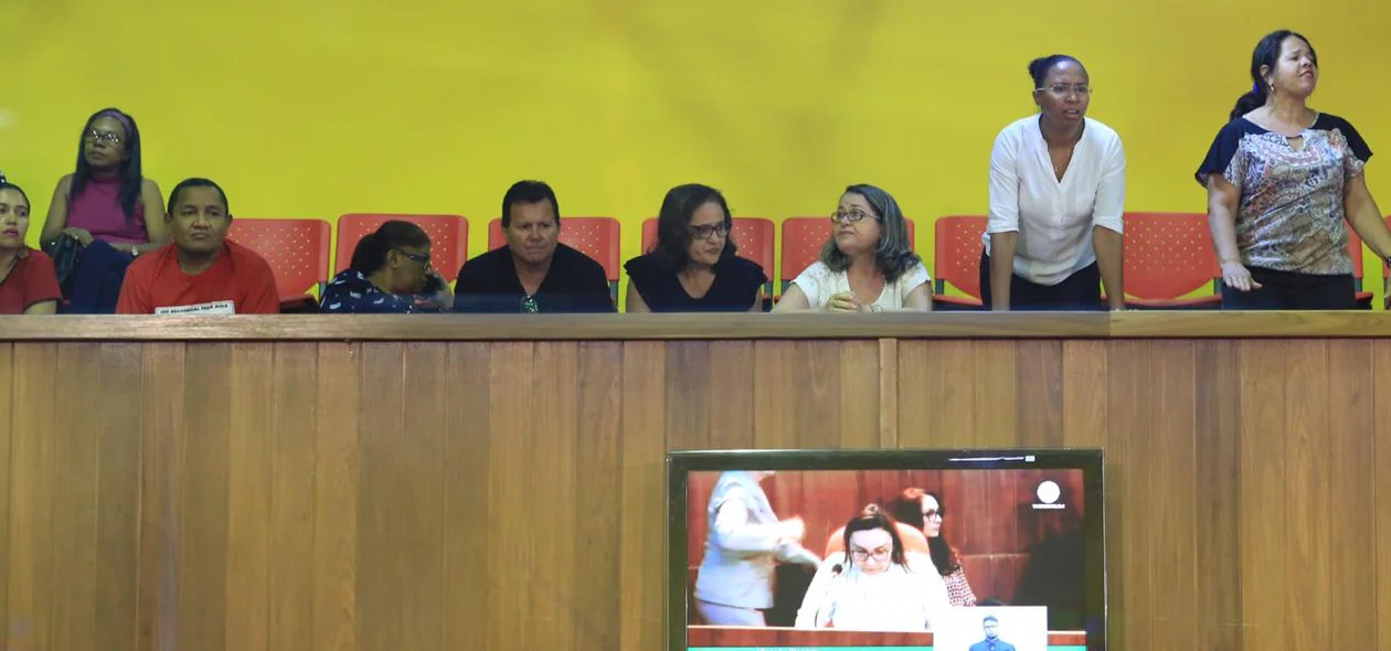 Professores em votação na Alepi