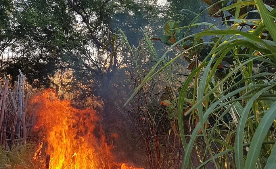 Momento que o entorpecente é incinerado 