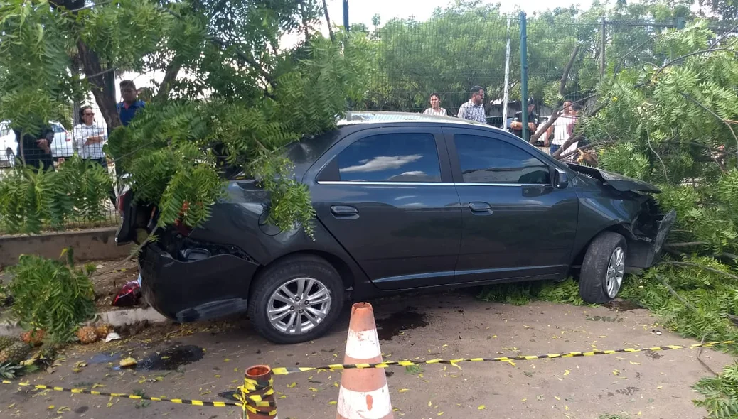 A dona e o condutor foram levados à Central de Flagrantes