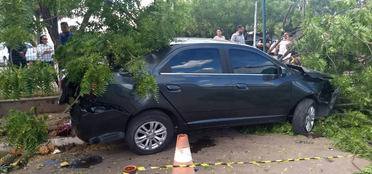 A dona e o condutor foram levados à Central de Flagrantes