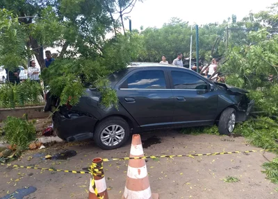 A dona e o condutor foram levados à Central de Flagrantes