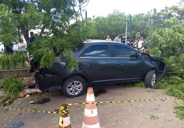 A dona e o condutor foram levados à Central de Flagrantes
