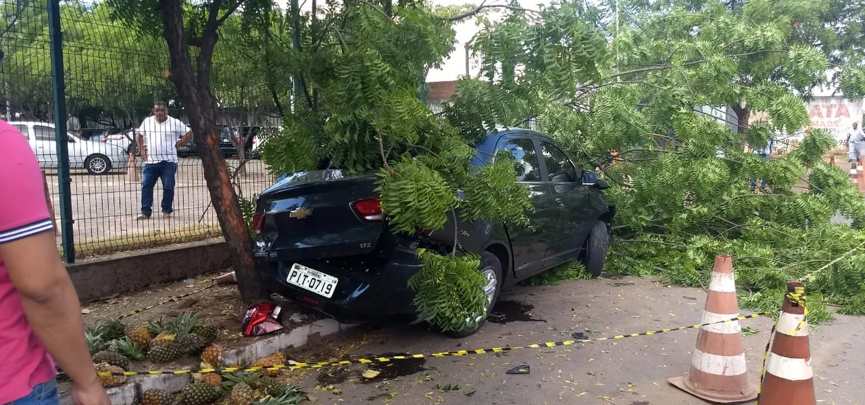 O condutor do veículo fugiu após o incidente
