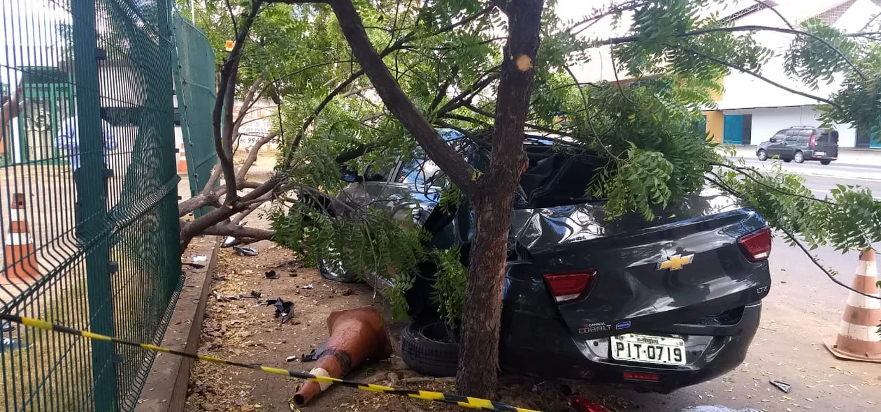 O homem que furtou o veículo carregava abacaxis no porta-malas 
