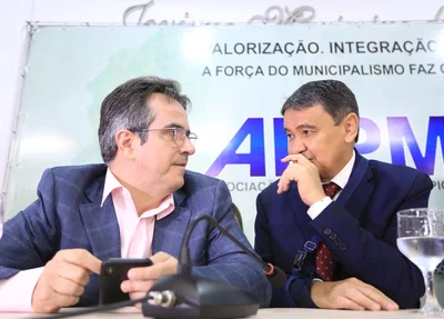 Senador Ciro Nogueira e governador Wellington Dias 