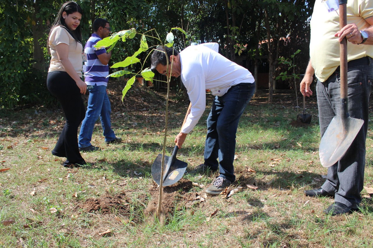 Plantio de árvores em Teresina