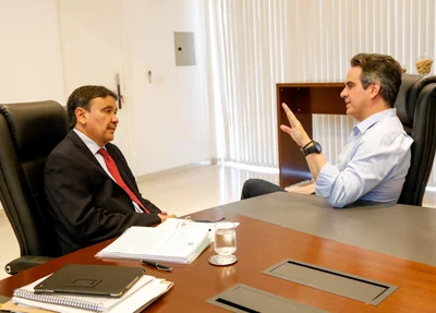 Wellington Dias se reúne com Ciro Nogueira 