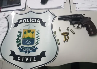 Arma de fogo apreendida em sítio 