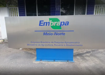 Embrapa Meio Norte 
