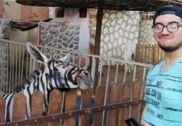 Estudante Mahmoud Sarhan ao lado da suposta zebra