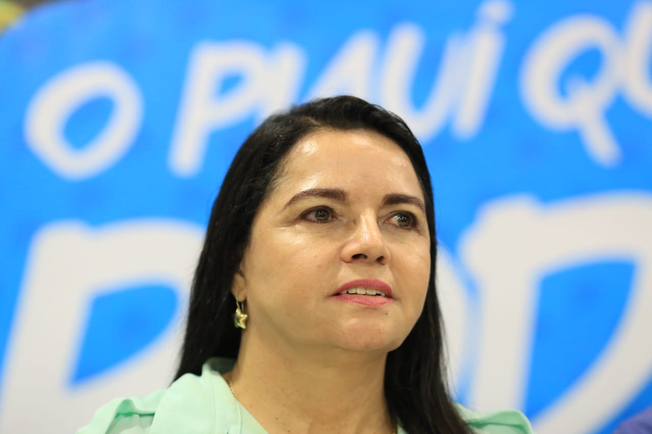 Vereadora Teresa Britto (PV)