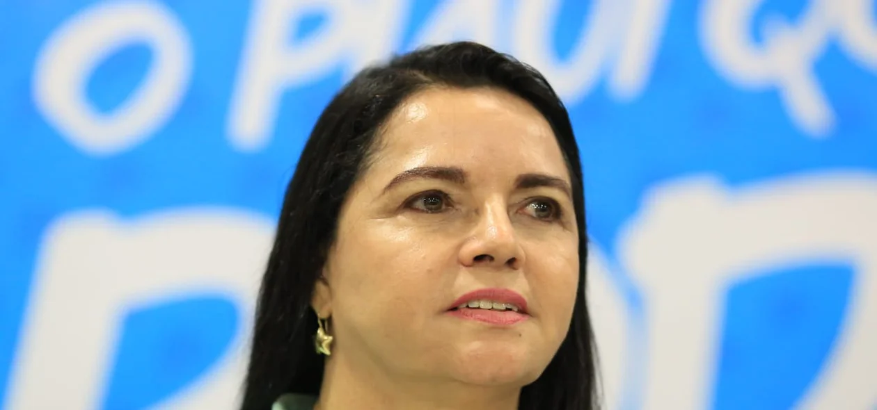 Vereadora Teresa Britto (PV)
