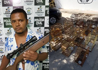 Homem é preso por posse ilegal de 18 aves silvestres em Teresina 