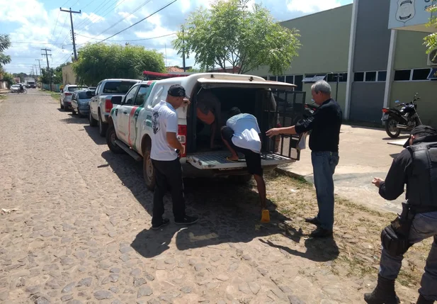 Operação Rapina em Piripiri