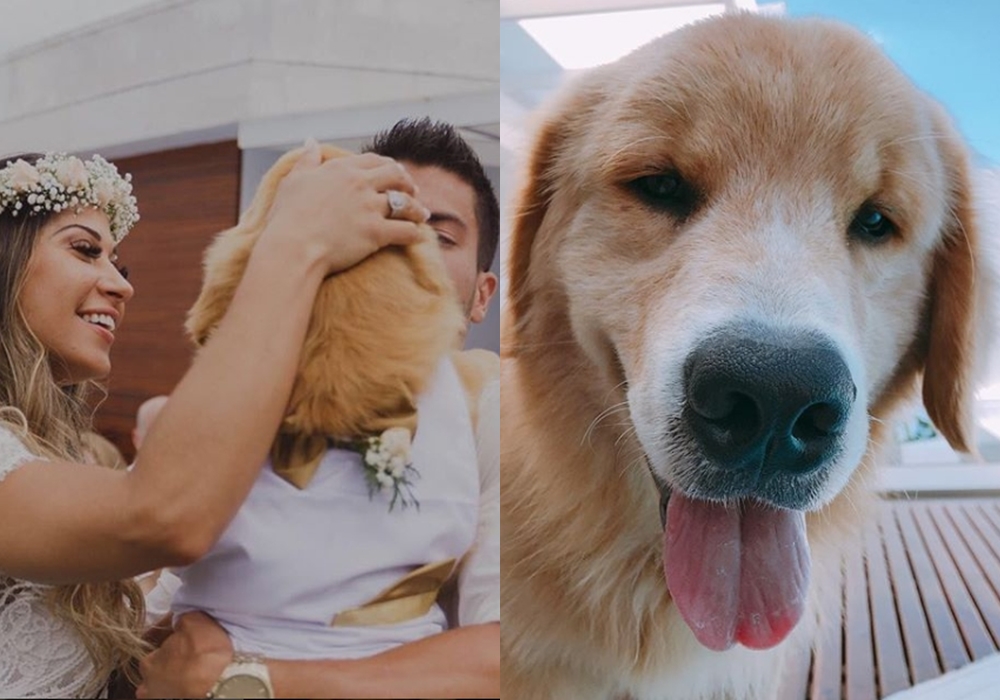 Mayra Cardi doa cachorro e revolta os seguidores