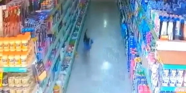 Cachorro foi flagrado roubado saco de pão