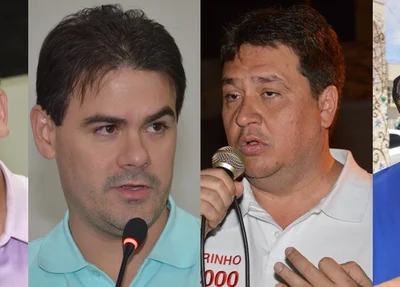 Deputados picoenses