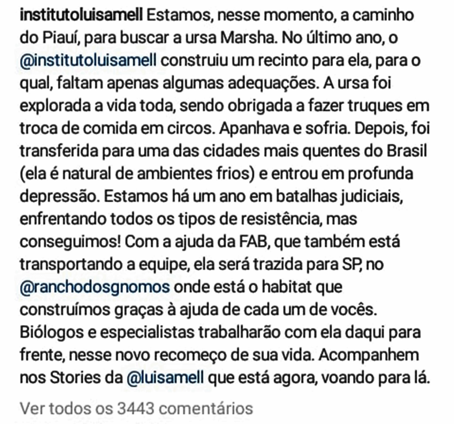 Postagem sobre transferência da ursa Marsha 
